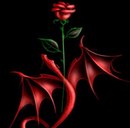 Tunahann Yılmaz фотография #1