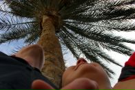 Фотография Щербак Елены