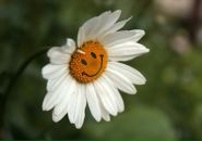 Фотография Селезневой Розалии