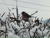 Дмитрий Царев фотография #25 (источник - https://vk.com/id2889691)