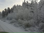 Нікіта Аустерманас фотография #20 (источник - https://vk.com/id98848800)