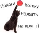 Фотография Серюбиной Алины