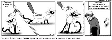 Фотография Малявиной Аллы