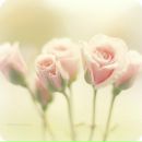 Фотография Порошиной Екатерины