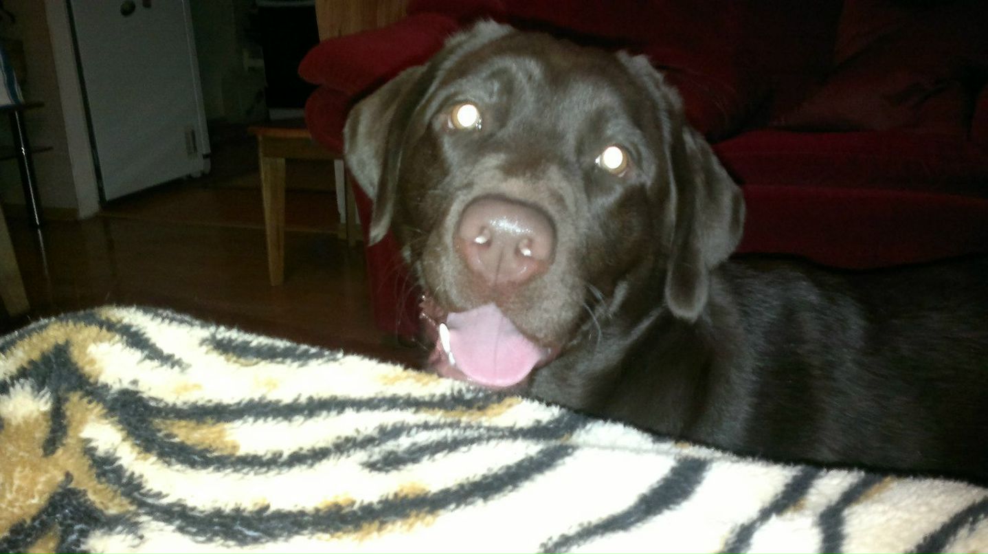 Денис Косицын фотография #23