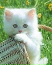 Катруся Затірка фотография #7 (источник - https://vk.com/id162105134)