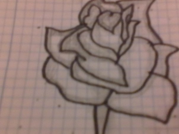 Аделя Баязитова фото №22