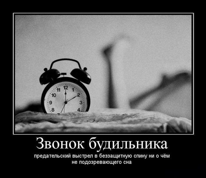 Игорь Будник фотография #16