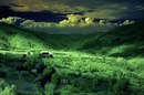 Володимир Піскуровський фотография #12 (источник - https://vk.com/id124943196)