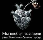 Фотография Mora Mora