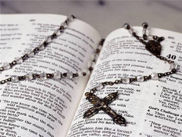 Латария Леван фотография #4