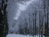 Сергій Терещук фотография #14 (источник - https://vk.com/id17399218)