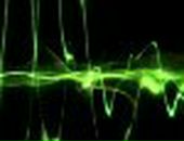 Дімон Пахолок фотография #9 (источник - https://vk.com/id132823706)