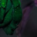 Таня Ходаківська фотография #15 (источник - https://vk.com/id150637633)