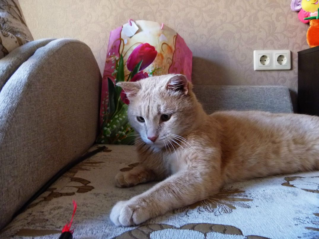 Софья Ленькова фотография #39