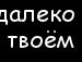 Гріша Кучак фотография #28 (источник - https://vk.com/id137048984)