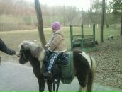 Роман Гузій фотография #50 (источник - https://vk.com/id153786123)