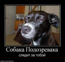 Фотография Скаковского Александра