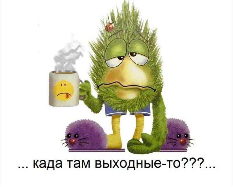 Вяче Слав фотография #15