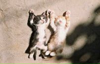 Фотография Бабиной Екатерины