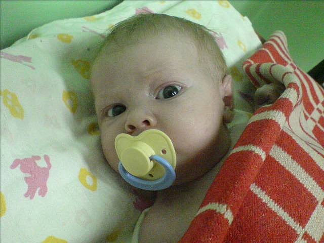 Антон Басинский фотография #46