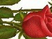 Мария Иванова фотография #30 (источник - https://vk.com/id9245767)