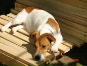 Фотография Степановой Анастасии