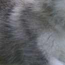 Наталя Кузів фотография #5 (источник - https://vk.com/id76628427)