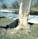 Фотография Боброва Дмитрия