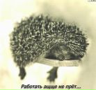 Фотография Николаева Константина