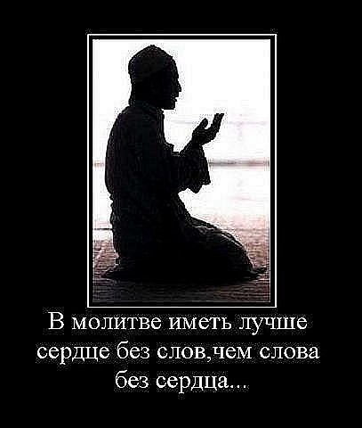 №5, Адам Дачаев, 36 лет, Москва №5, Адам Дачаев, 36 лет, Москва