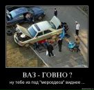 Фотография Мамедова Курбана