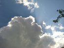 Фотография Сера Льва