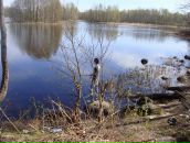 Фотография Жаровских Юлии