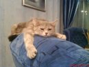 Артьом Поліщук фотография #1