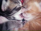 Фотография Робовой Ирины