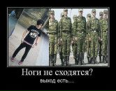 Діма Кот фотография #1