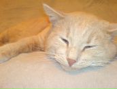 Андрій Давида фотография #25 (источник - https://vk.com/id10270199)