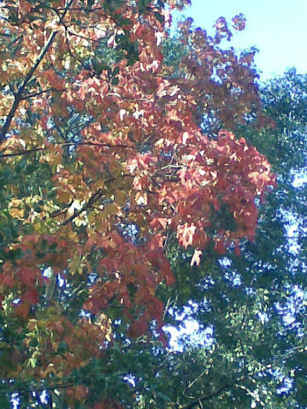 Иван Л фотография #19