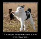 Фотография Низамовой Татьяны