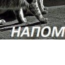 Каролінка Ман фотография #44 (источник - https://vk.com/id145816300)