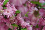 Viktoria Barabanova фотография #29 (источник - https://vk.com/id3774708)