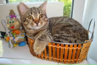 Фотография Харина Олега