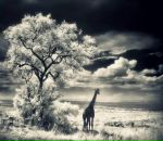 Фотография Охотниковой Светы