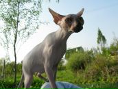 Фотография Васенин Дмитрий