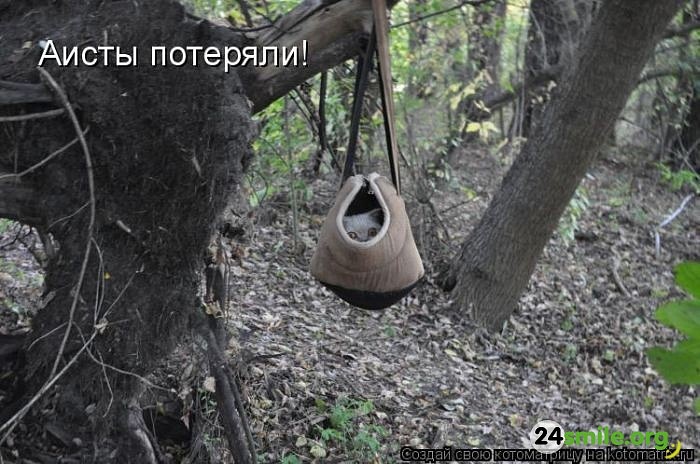 Ivan Vik фотография #15