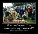 Фотография Некрасова Дениса