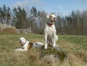 Фотография Галаховой Юлии