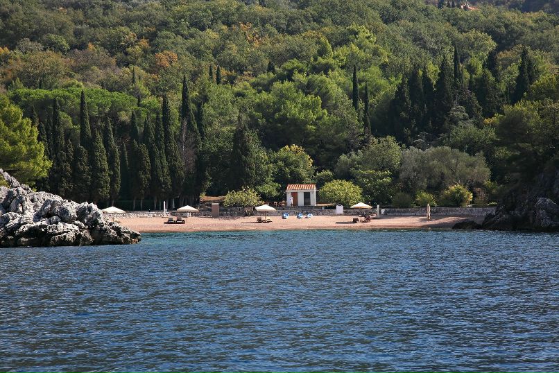 Дмитрий Старицын фотография #30