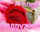 Рія Сен фотография #48 (источник - https://vk.com/id142198592)